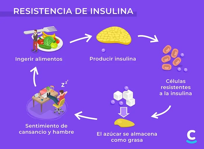 Gráfico qué explica cómo se produce la resistencia a la insulina